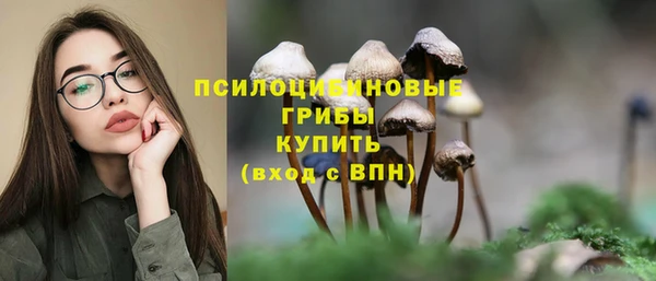 первитин Алексеевка