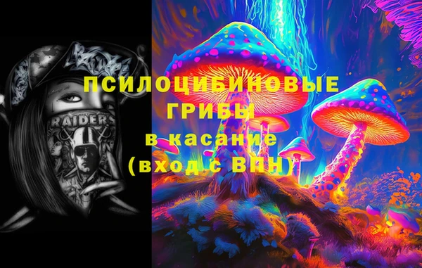 хмурый Алзамай