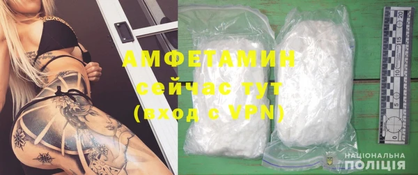 хмурый Алзамай