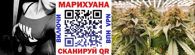 МАРИХУАНА SATIVA & INDICA  где купить   Кизилюрт 